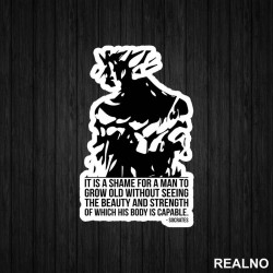 The Beauty And The Strenght - Trening - Nalepnica The Beauty And The Strenght - Trening - Nalepnica
