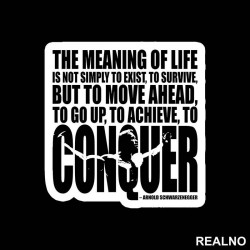 The Meaning Of Life Is To Move Ahead And Conquer - Trening - Nalepnica The Meaning Of Life Is To Move Ahead And Conquer - Trening - Nalepnica