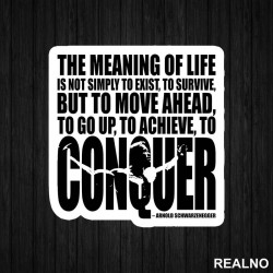 The Meaning Of Life Is To Move Ahead And Conquer - Trening - Nalepnica The Meaning Of Life Is To Move Ahead And Conquer - Trening - Nalepnica