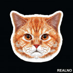 Ginger Cat Face - Životinje - Nalepnica