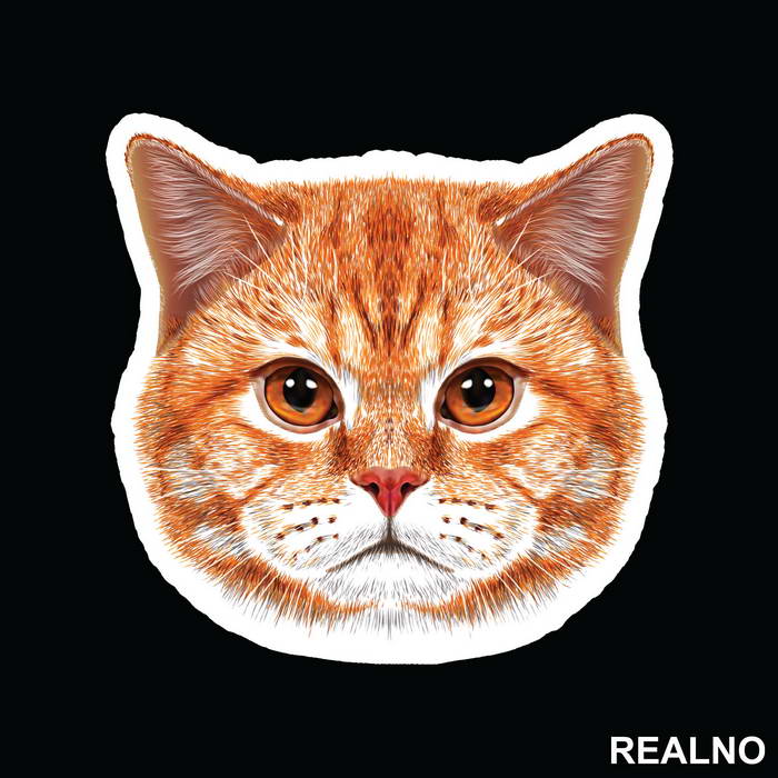 Ginger Cat Face - Životinje - Nalepnica
