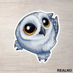 Small Owl With Big Eyes - Životinje - Nalepnica
