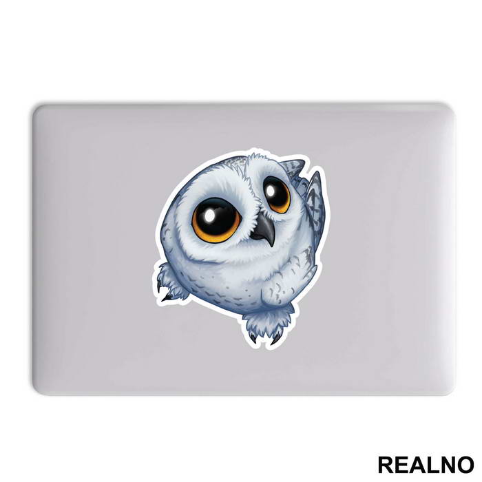 Small Owl With Big Eyes - Životinje - Nalepnica