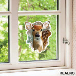 Deer Portrait - Životinje - Nalepnica