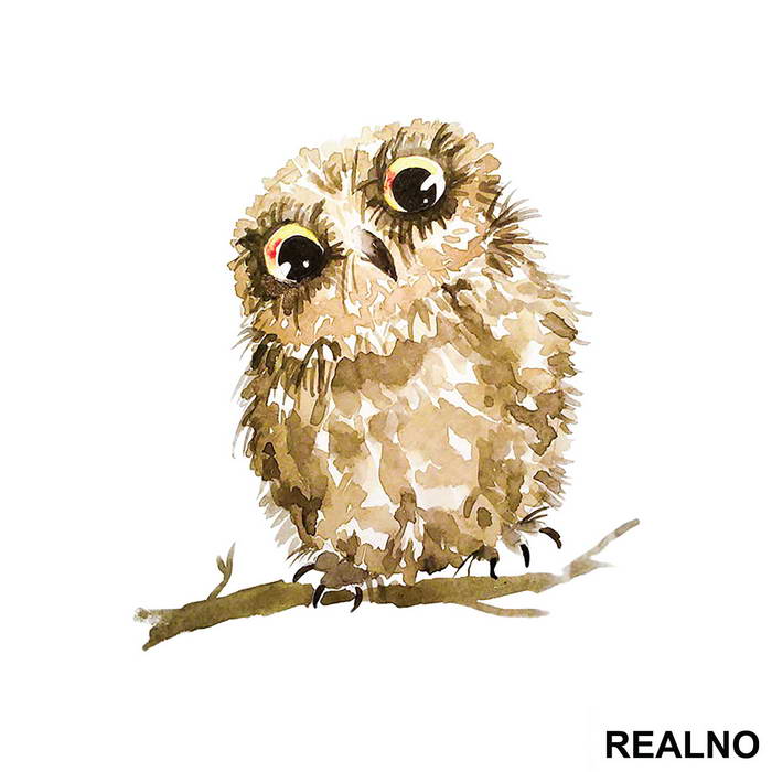 Brown Owl On A Branch - Životinje - Nalepnica
