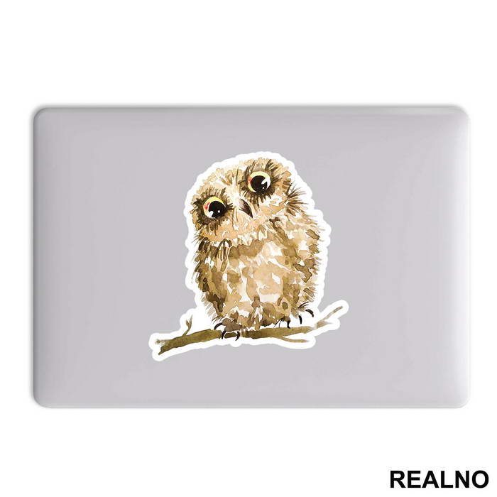 Brown Owl On A Branch - Životinje - Nalepnica