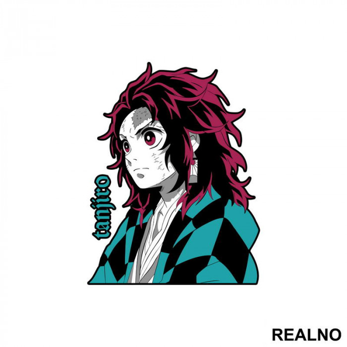 Tanjiro - Side Portrait - Demon Slayer - Nalepnica