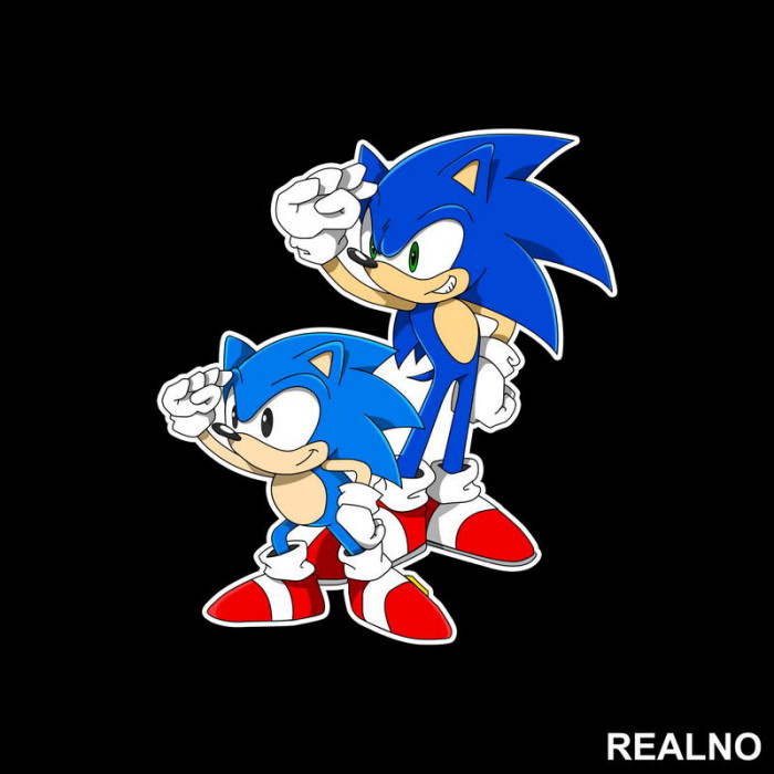 Little And Big - Sonic - Nalepnica