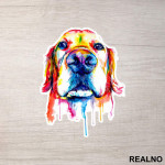 Golden Retriever Colorful Art - Životinje - Nalepnica