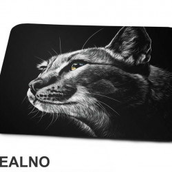 Cat Portrait - Mačke - Podloga za miš
