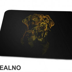Golden Retriever Portrait - Dog - Pas - Podloga za miš