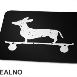 Dacshund On Skate - Silhouette - Jazavičar - Pas - Dog