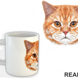 Ginger Face - Mačke - Cat - Šolja
