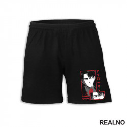 The Look - Levi - Attack On Titan - AOT - Šorc