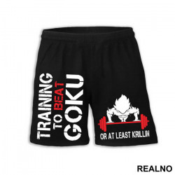 Training To Beat Goku Or At Least Krillin - Trening - Šorc Training To Beat Goku Or At Least Krillin - Trening - Šorc