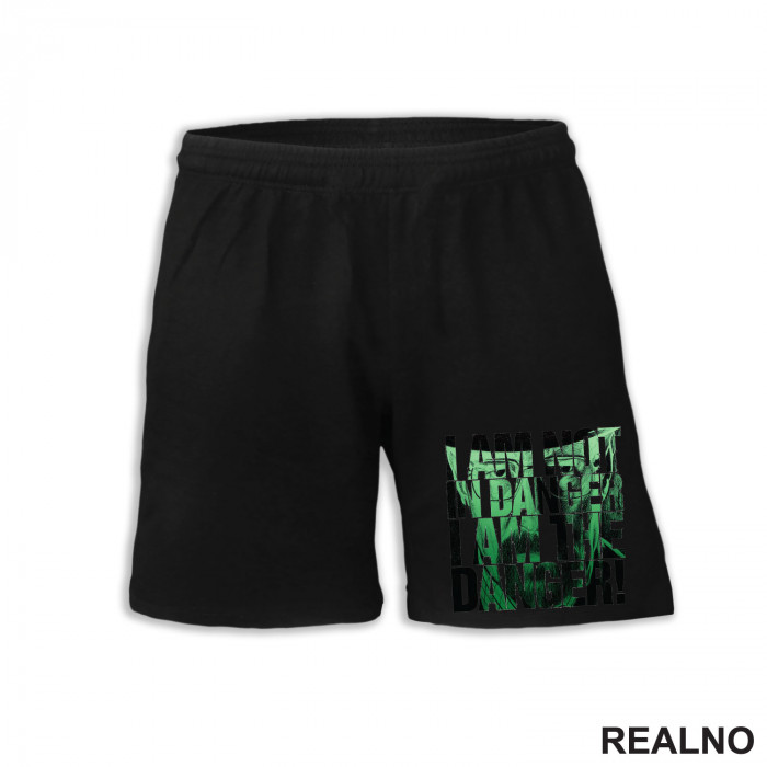 I Am The Danger! - Breaking Bad - Šorc I Am The Danger! - Breaking Bad - Šorc